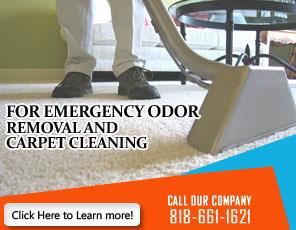 Carpet Cleaning Pacoima, CA | 818-661-1621 | Fast & Expert