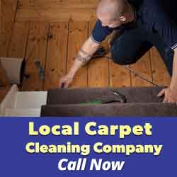 Contact Carpet Cleaning Services